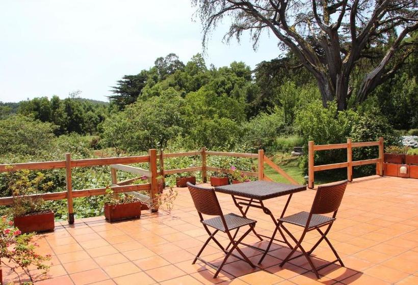 Bio Quinta Do Pantano, Agro Turismo