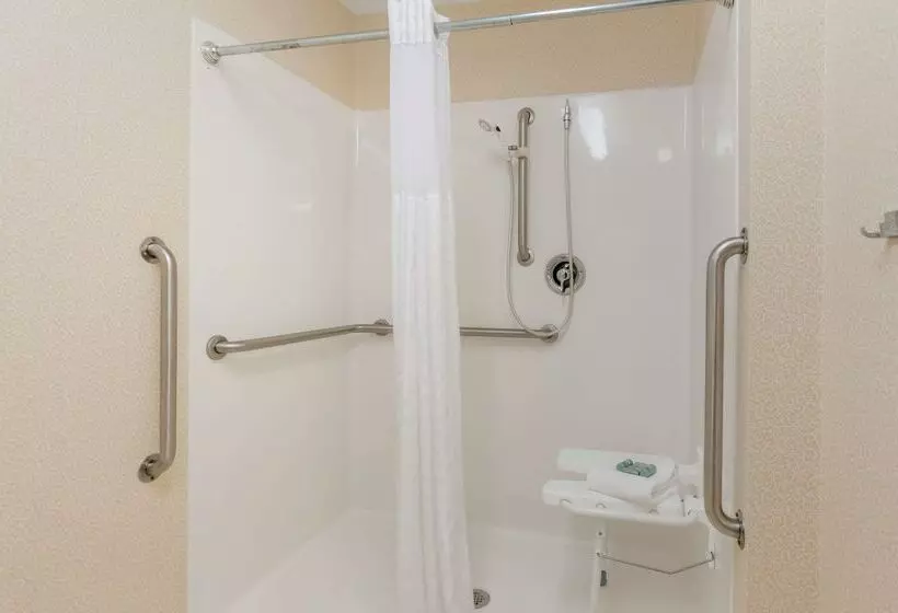 Отель Best Western Lexington Inn