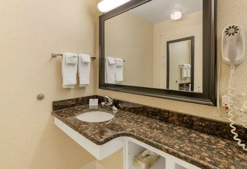 Отель Best Western Lexington Inn