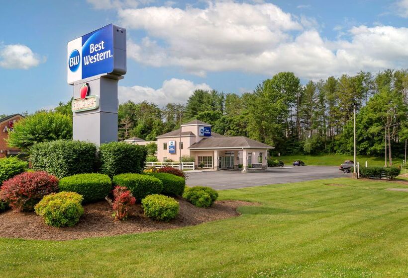 Отель Best Western Lexington Inn