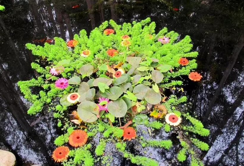 Otel Bosque De Reñaca