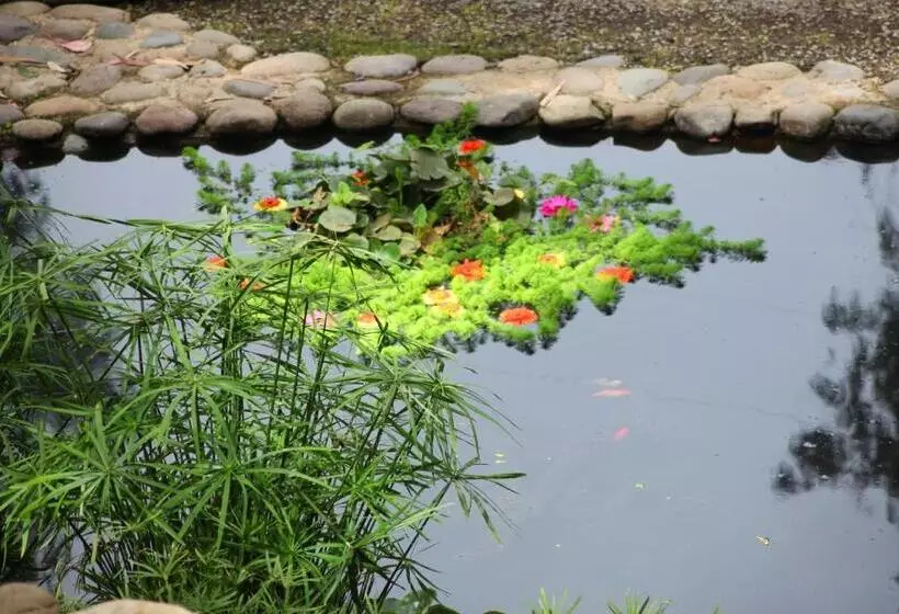 Otel Bosque De Reñaca