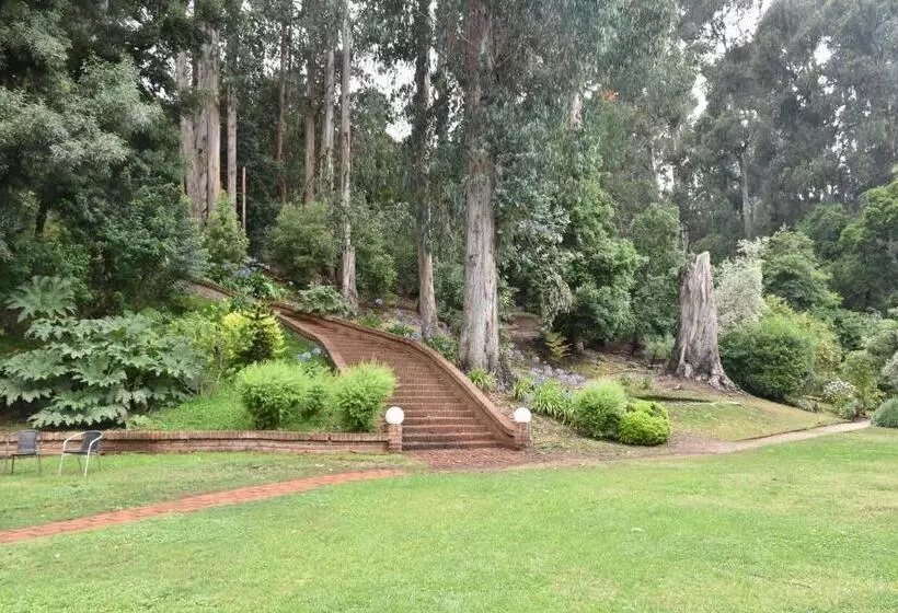 Otel Bosque De Reñaca