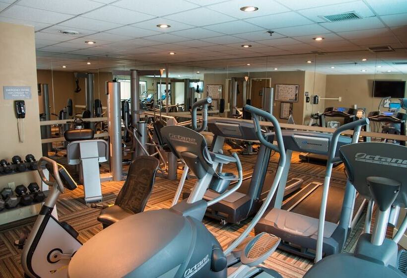 The Grand Lodge Hotel And Suites