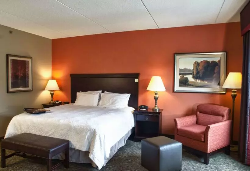 هتل Hampton Inn Spring Lake Fayetteville