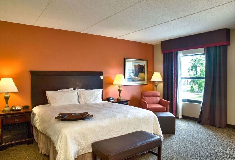 فندق Hampton Inn Spring Lake Fayetteville