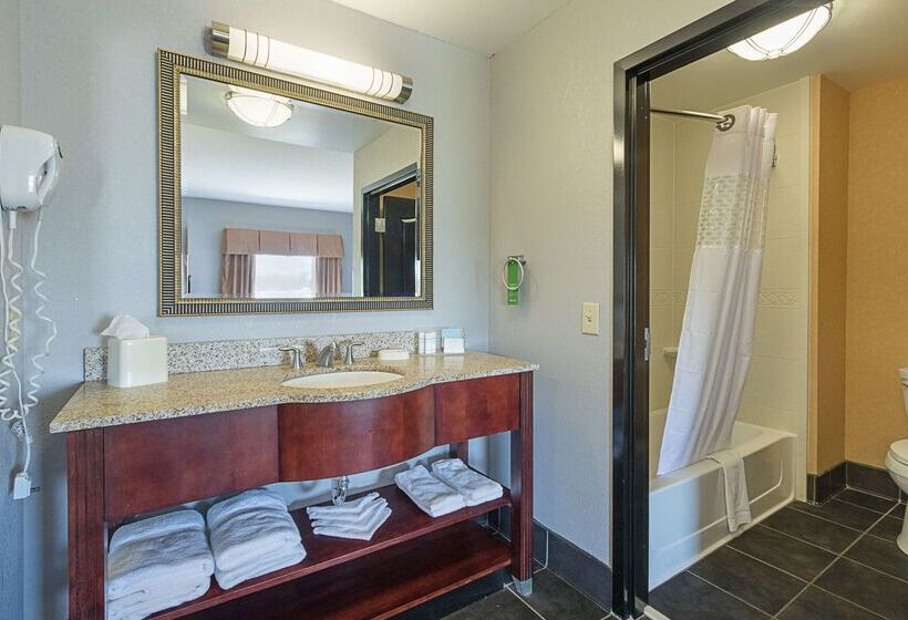 호텔 Hampton Inn & Suites Indianapolis/brownsburg