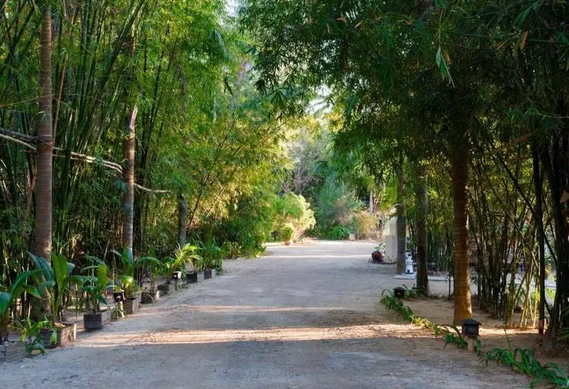 هتل Thande Beach   Ngapali