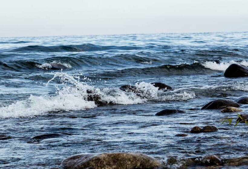 酒店 Baikal Pearl Chalet