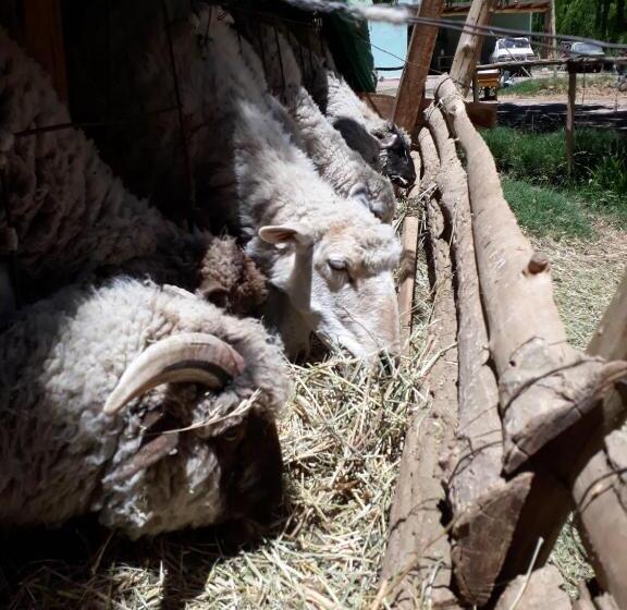 Complejo Los Enamorados