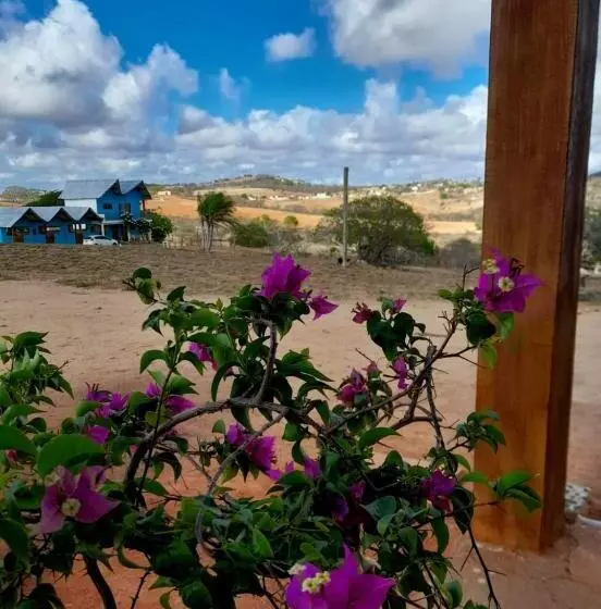 Hotelli Fazenda Terra Bonita   Passeios A Cavalo E Trilhas