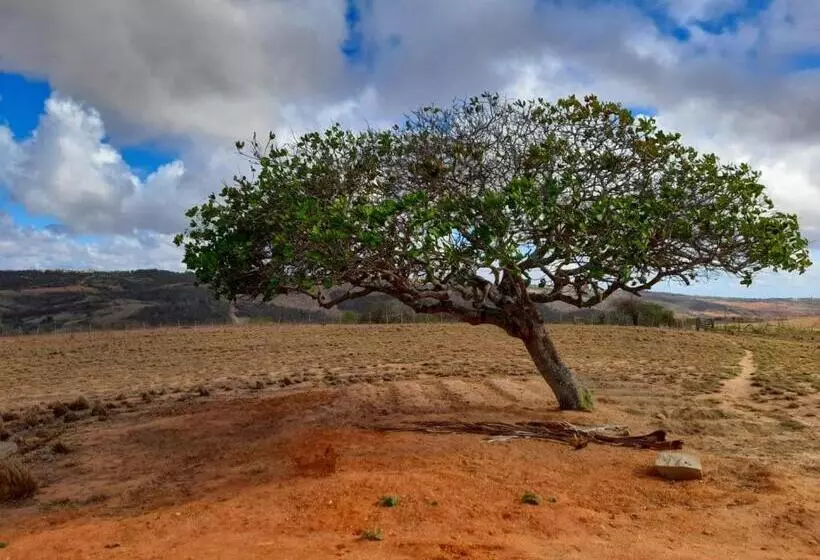 Hotelli Fazenda Terra Bonita   Passeios A Cavalo E Trilhas