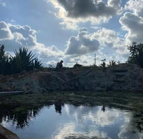 Hotelli Fazenda Terra Bonita   Passeios A Cavalo E Trilhas