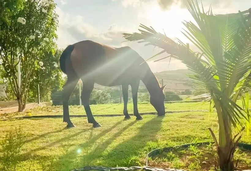 Hotelli Fazenda Terra Bonita   Passeios A Cavalo E Trilhas
