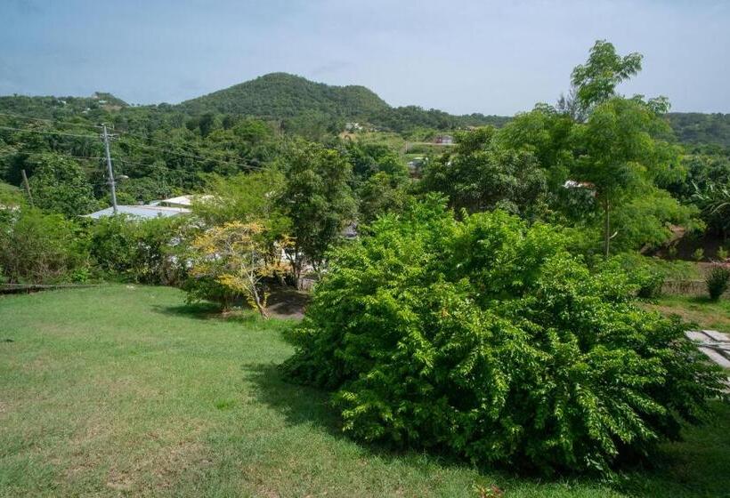 هتل Senderos 4 A Cozy Studio 4 Min From The Beach