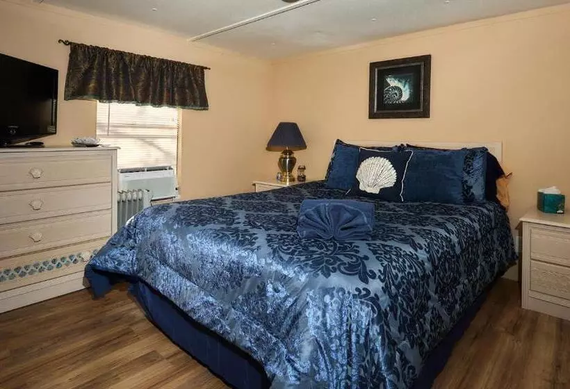 Majatalo Room In Bb   Pleasant Days Bb Tropical Master Suite