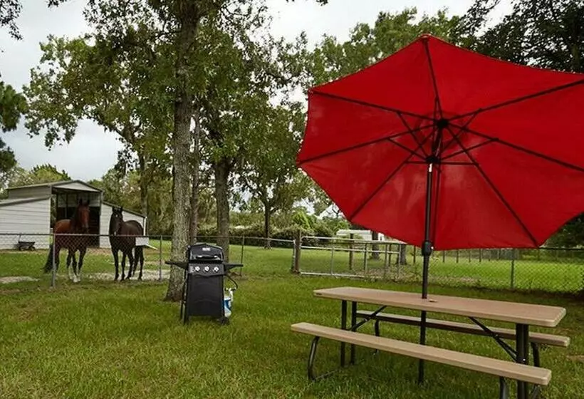 Majatalo Room In Bb   Pleasant Days Bb Tropical Master Suite