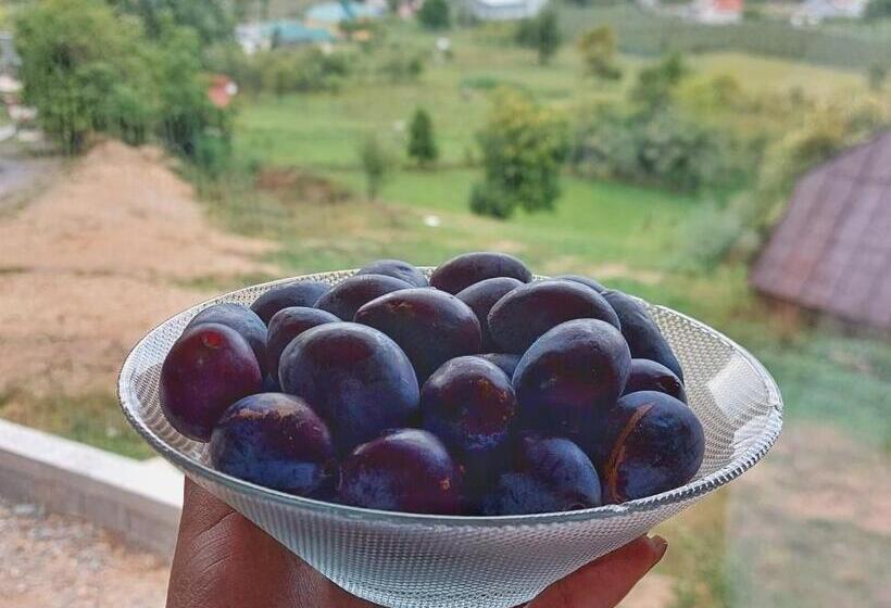 住宿加早餐  Log Cabin 1 Merdovic