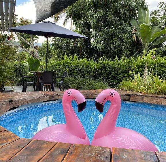 펜션 Cabañas Los Tulipanes