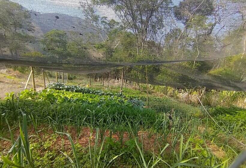 פנסיון Solar Dos Canários