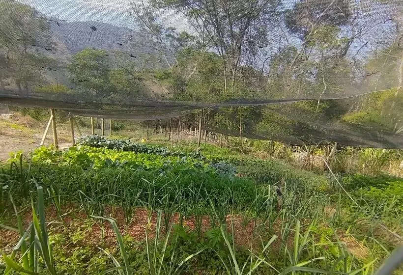 ペンション Solar Dos Canários