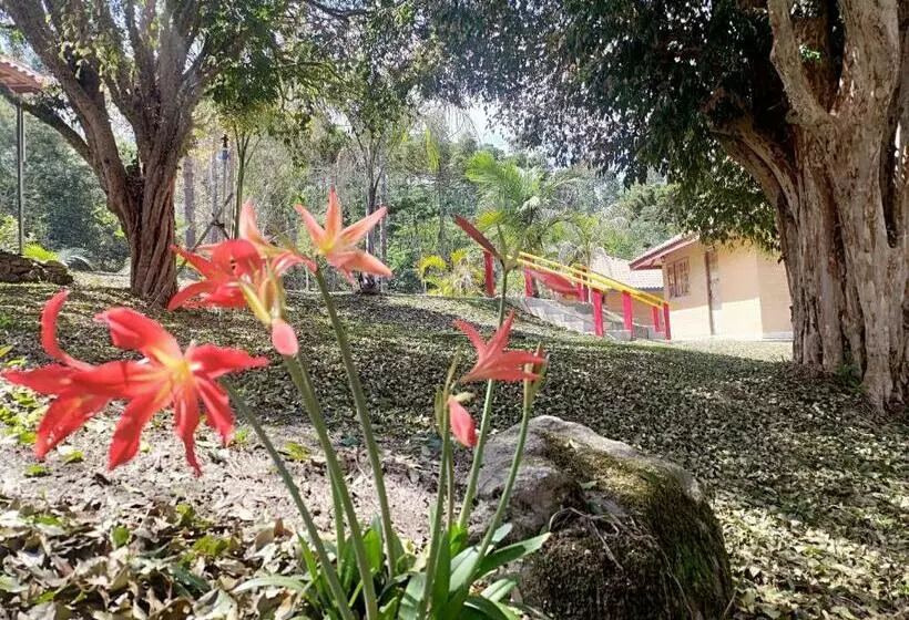 ペンション Solar Dos Canários