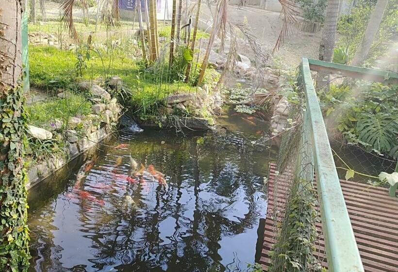 פנסיון Solar Dos Canários