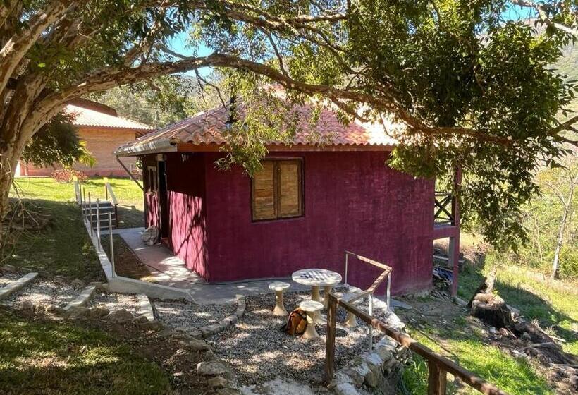 פנסיון Solar Dos Canários