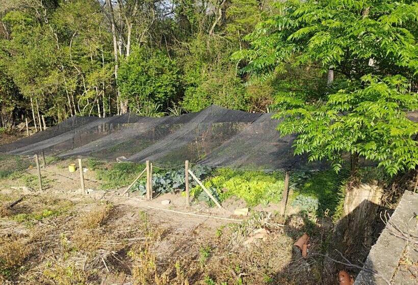 פנסיון Solar Dos Canários