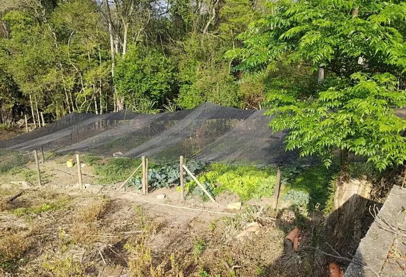 ペンション Solar Dos Canários