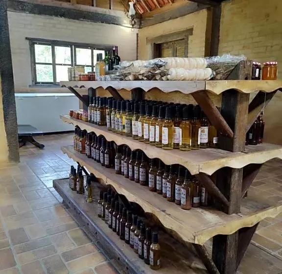 ペンション Solar Dos Canários