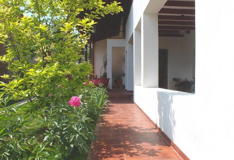 تختخواب و صبحانه Elma Guesthouse