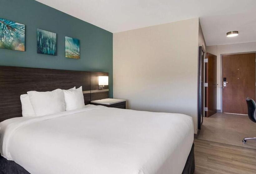 ホテル Mainstay Suites Clarion, Pa Near I80