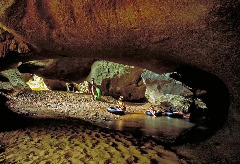 ホテル Pelican Beach Resort South Water Caye