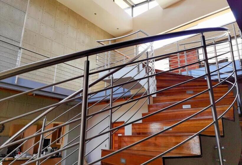 بنسيون Schimper View Boutique Guest House