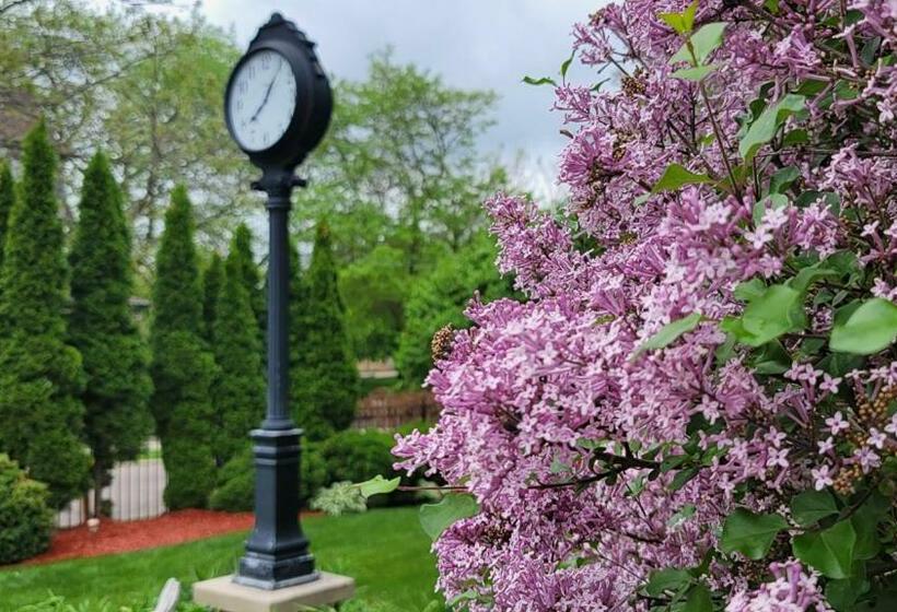 צימר Chocolate Mansion