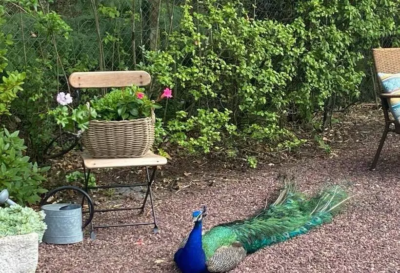 Majatalo Le Clos Des Chênes