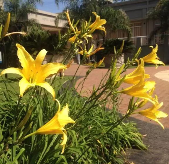 Condado Hotel Casino Santo Tome