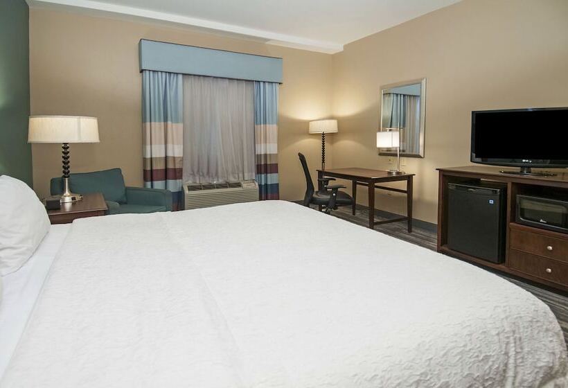 Hampton Inn & Suites Baton Rouge/port Allen