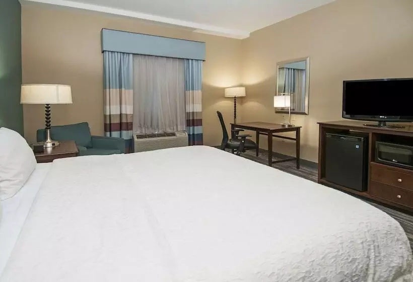 Hampton Inn & Suites Baton Rouge/port Allen