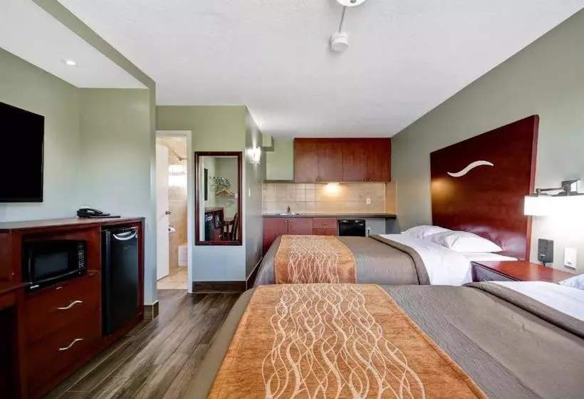 فندق Burlington Inn