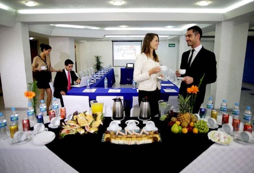 בית מלון כפרי Emily