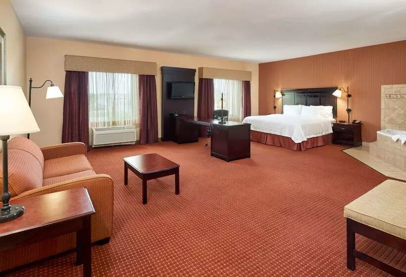Отель Hampton Inn & Suites Austin South/buda