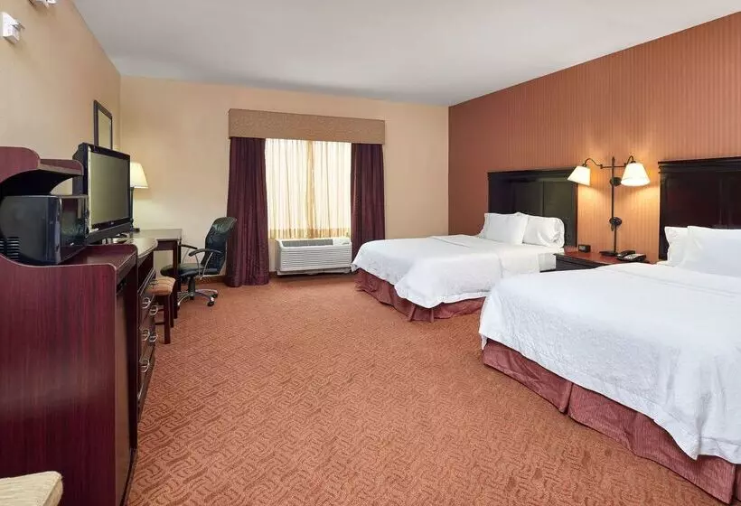 Отель Hampton Inn & Suites Austin South/buda