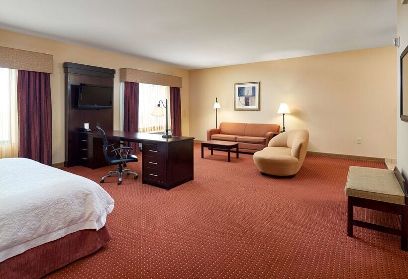 ホテル Hampton Inn & Suites Austin South/buda