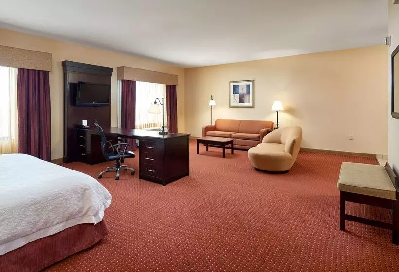 Отель Hampton Inn & Suites Austin South/buda