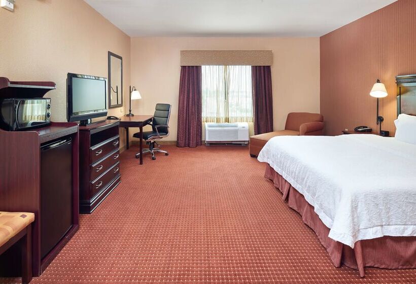 ホテル Hampton Inn & Suites Austin South/buda