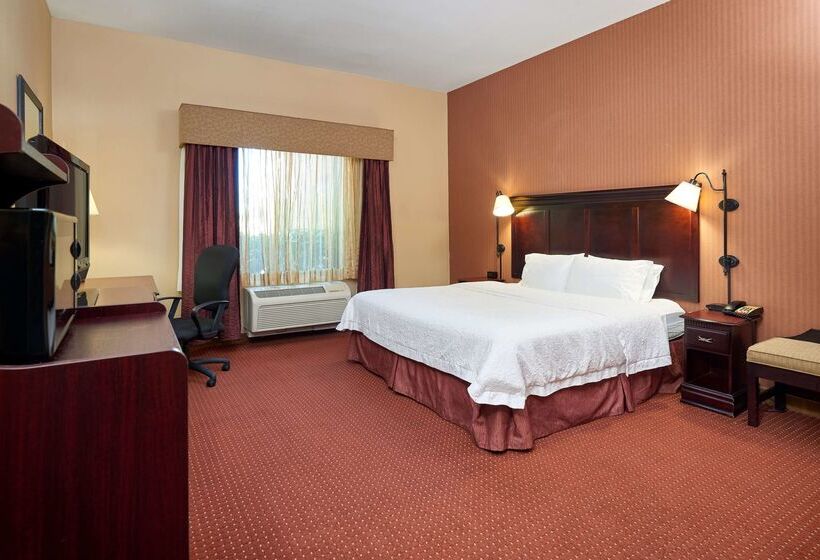 ホテル Hampton Inn & Suites Austin South/buda