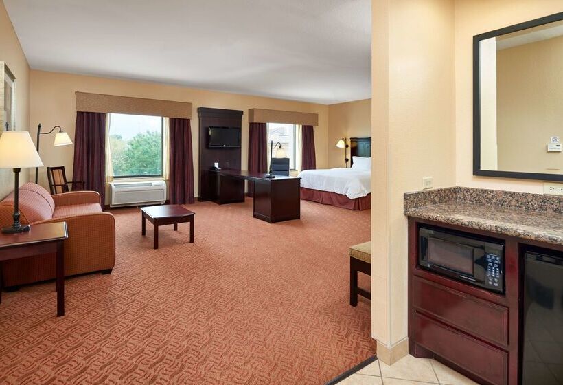 ホテル Hampton Inn & Suites Austin South/buda