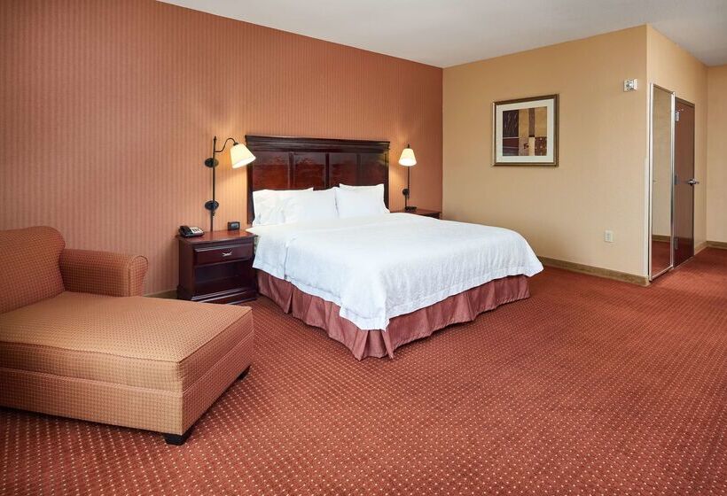 ホテル Hampton Inn & Suites Austin South/buda